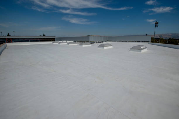 Best Steel Roofing  in Sullivan Gardens, TN
