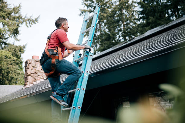 Professional Roofing Service in Sullivan Gardens, TN