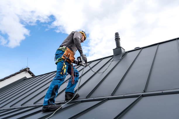 Best Metal Roofing Installation  in Sullivan Gardens, TN